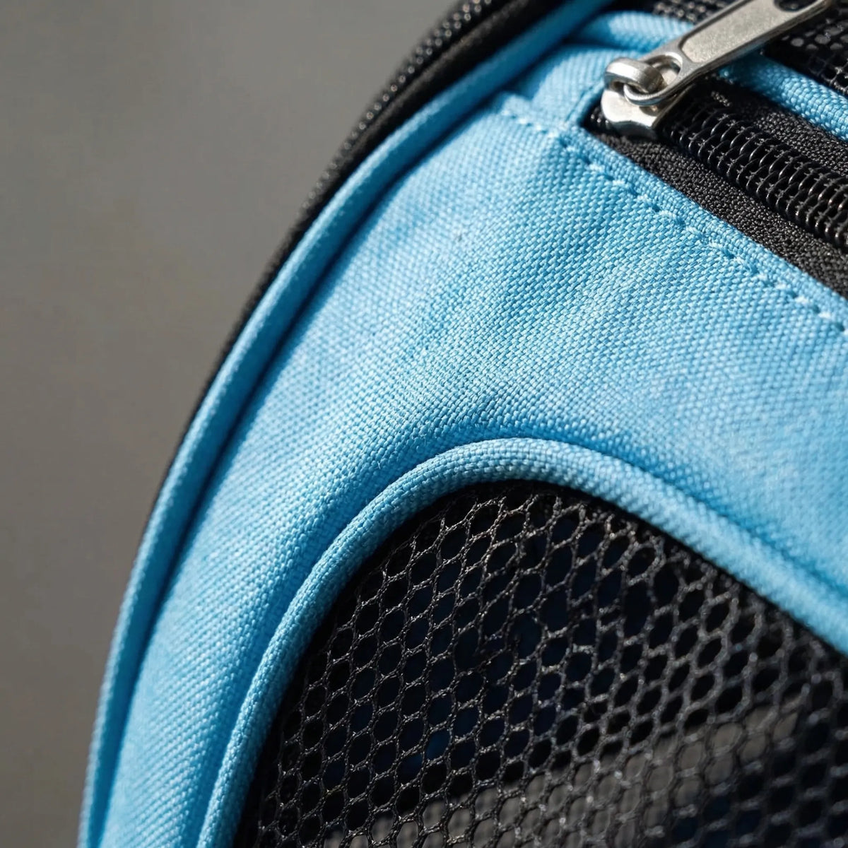 Foldable Mesh Pet Carrier Bag