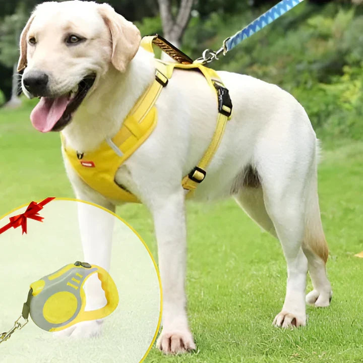 No-Pull Dog Harness with Comfortable Fit and Enhanced Control