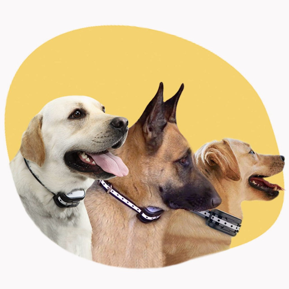 Wireless Dog Fence and Training Collar – Rechargeable, Waterproof with Pet-Friendly Correction Modes