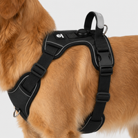 Adjustable No-Pull Chest Harness