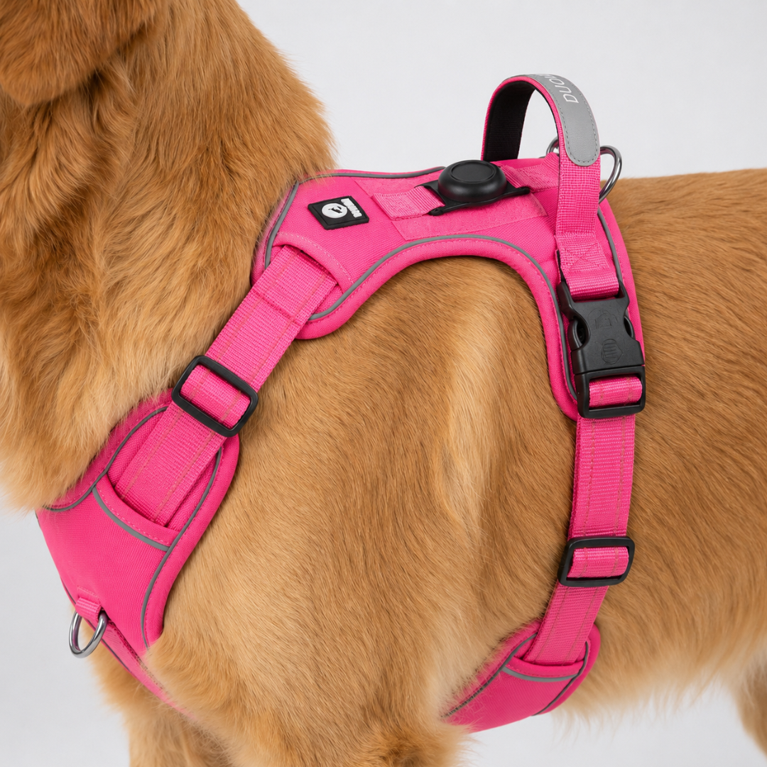 Adjustable No-Pull Chest Harness