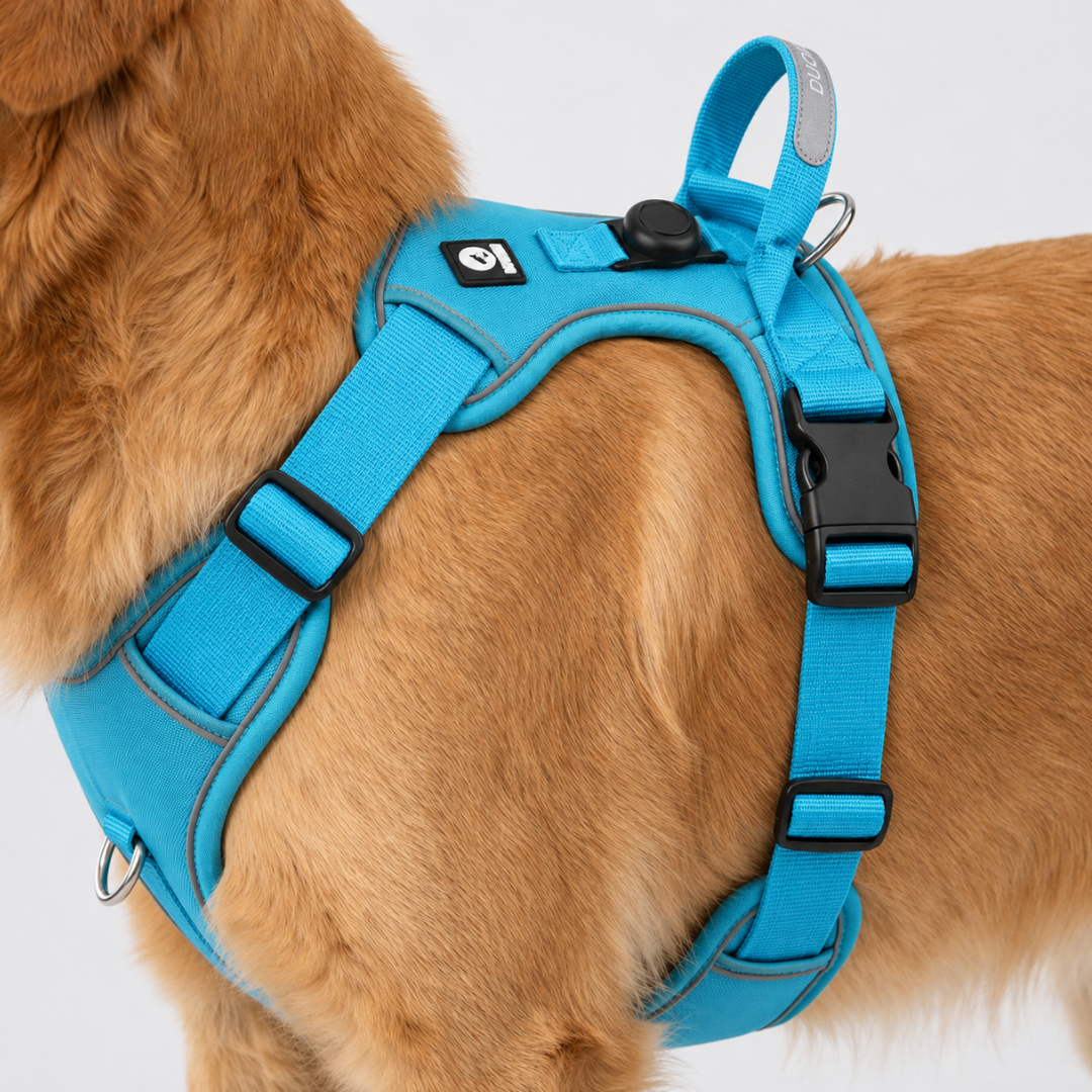 Adjustable No-Pull Chest Harness