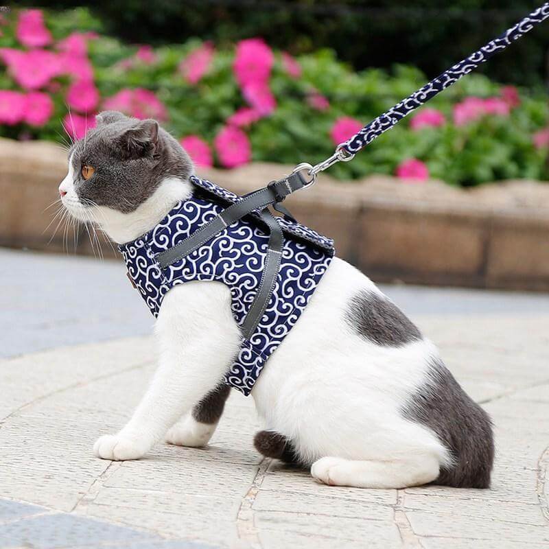 Cat Vest Harness Set