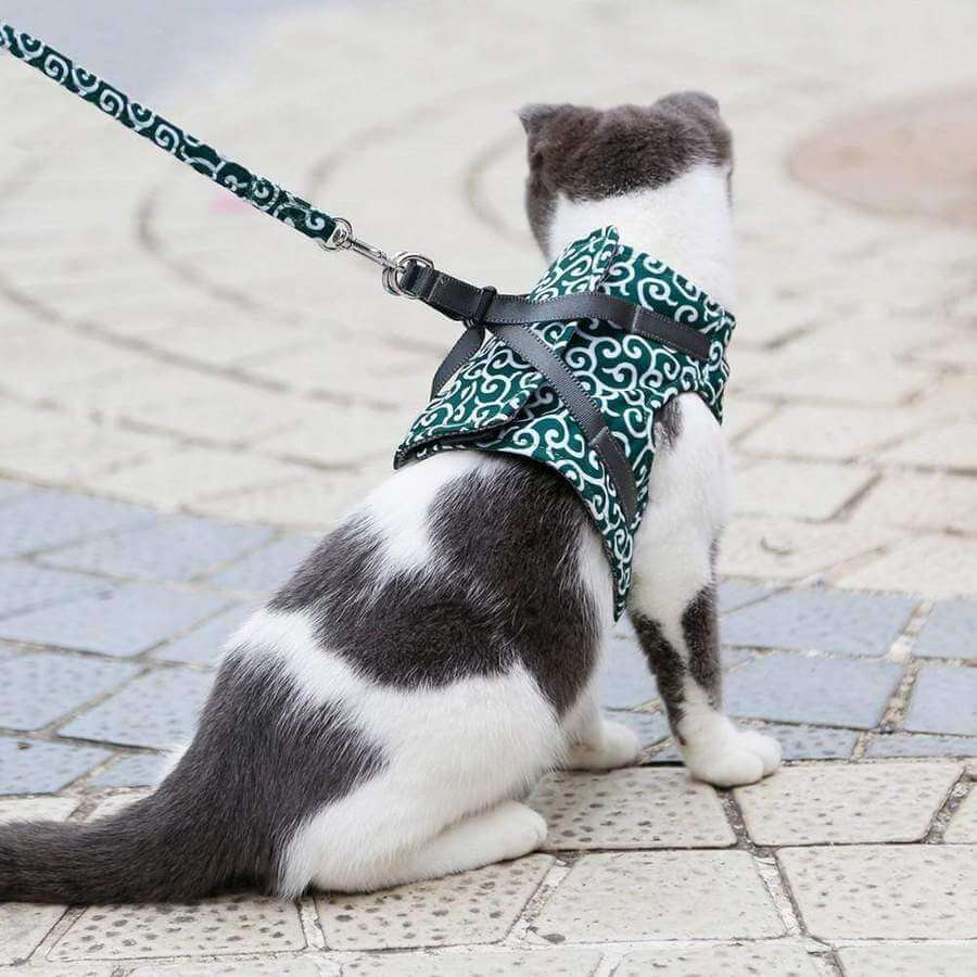 Cat Vest Harness Set