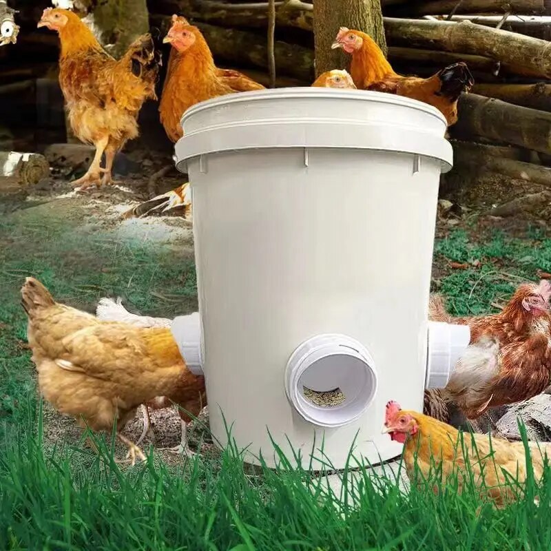 Chicken Feeder