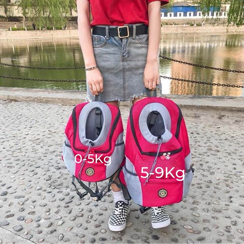 Comfortable and Safe Dog Carrier Backpack