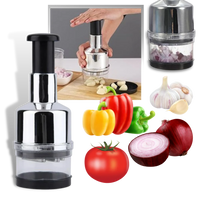 Compact Stainless Steel Vegetable and Garlic Chopper