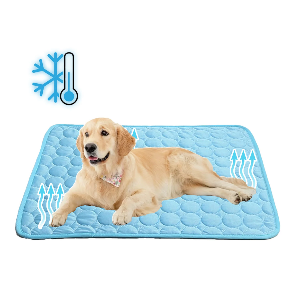 Cooling Mat for Dogs, Heat-Resistant Pet Cooling Pad
