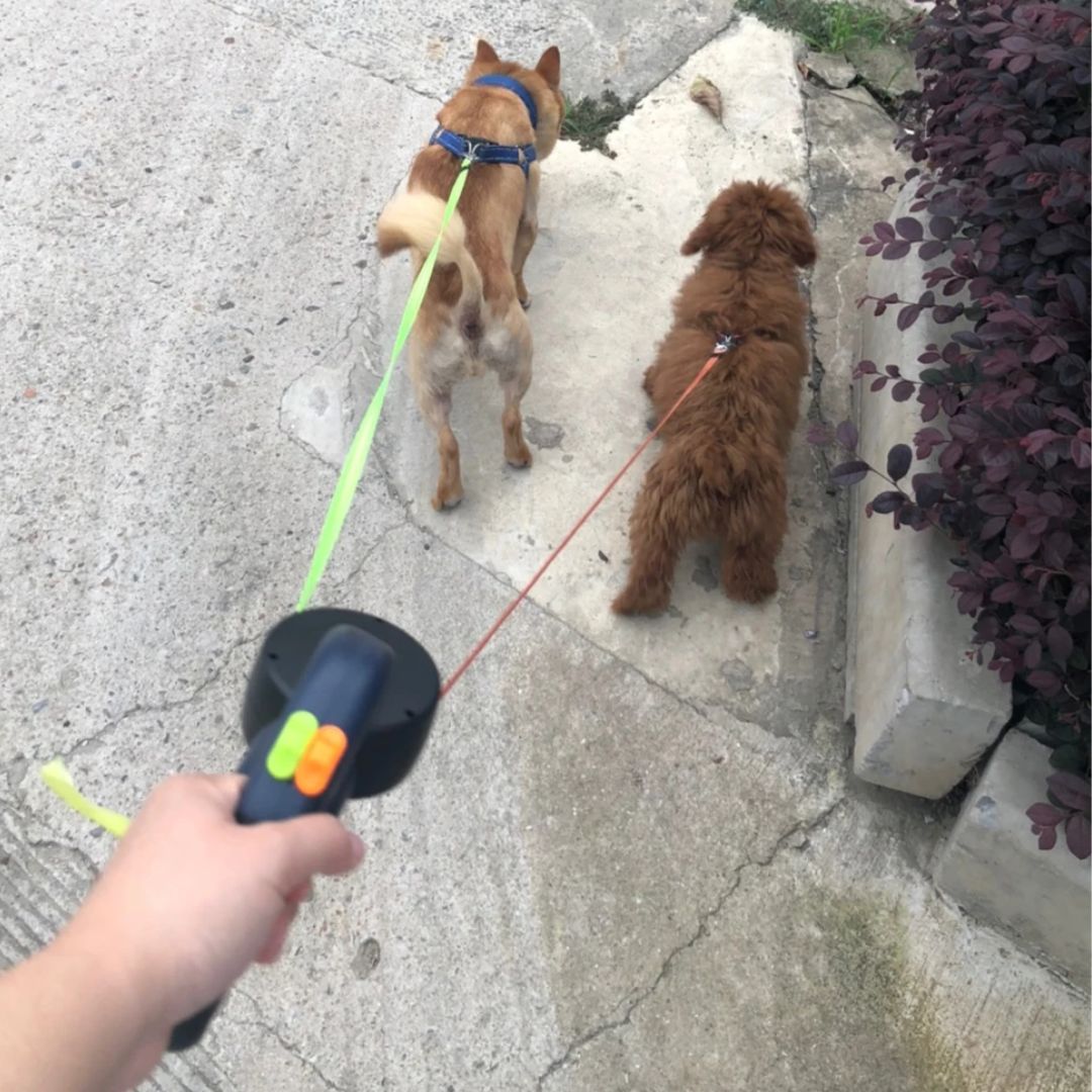 Dual Retractable Dog Leash with Flashlight and Poop Bag Dispenser