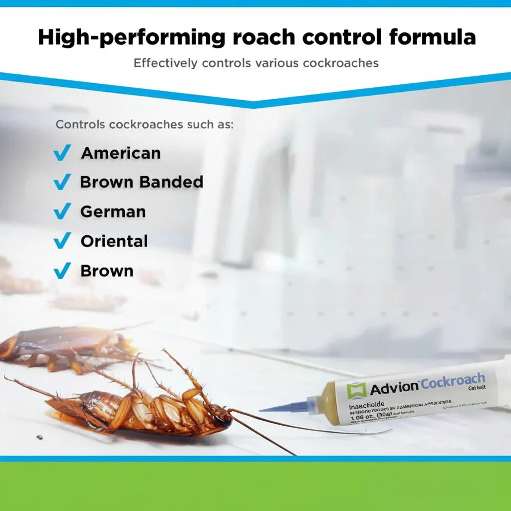 Effective Indoor Cockroach Control Gel Syringe for Pest Elimination