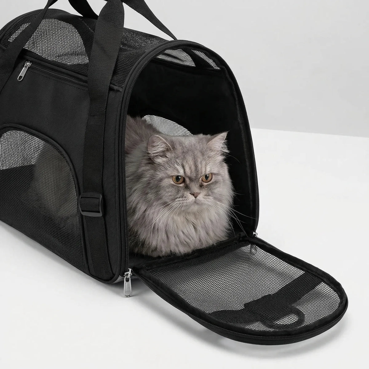 Foldable Mesh Pet Carrier Bag