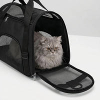 Foldable Mesh Pet Carrier Bag
