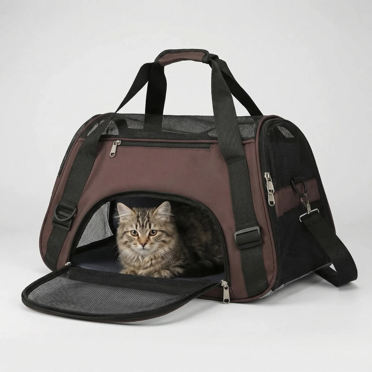Foldable Mesh Pet Carrier Bag