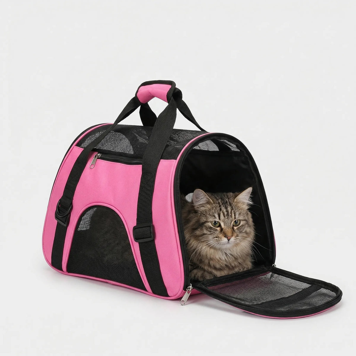 Foldable Mesh Pet Carrier Bag