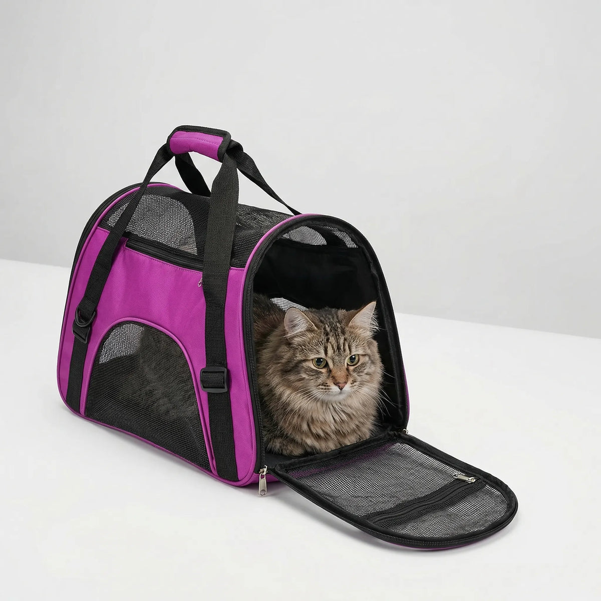 Foldable Mesh Pet Carrier Bag