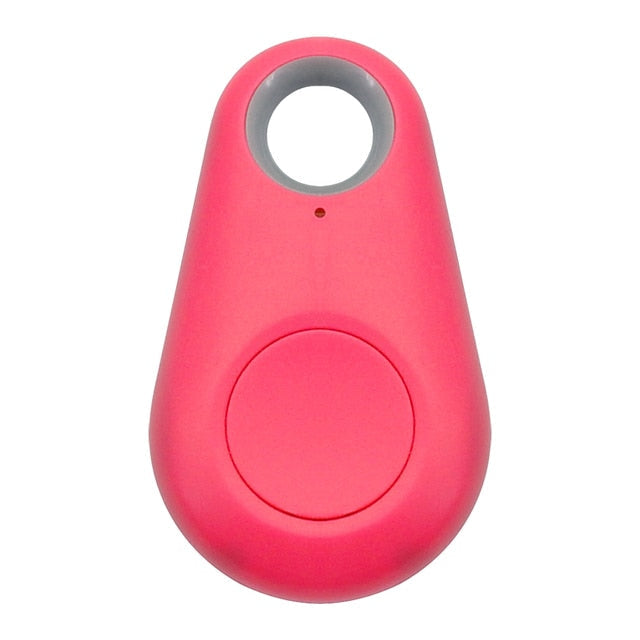 GPS Pet Tag