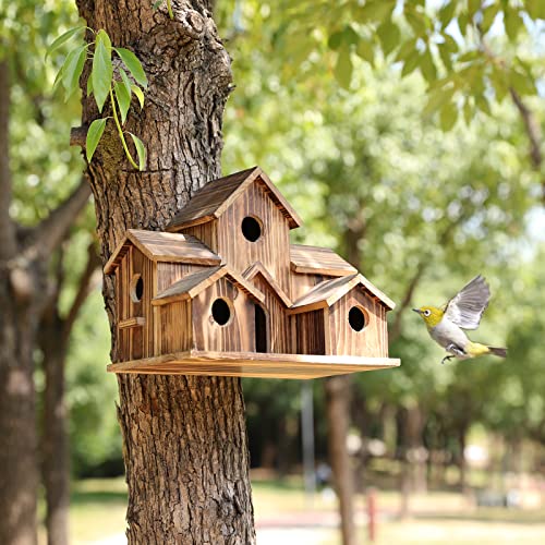 Handmade 6-Hole Birdhouse