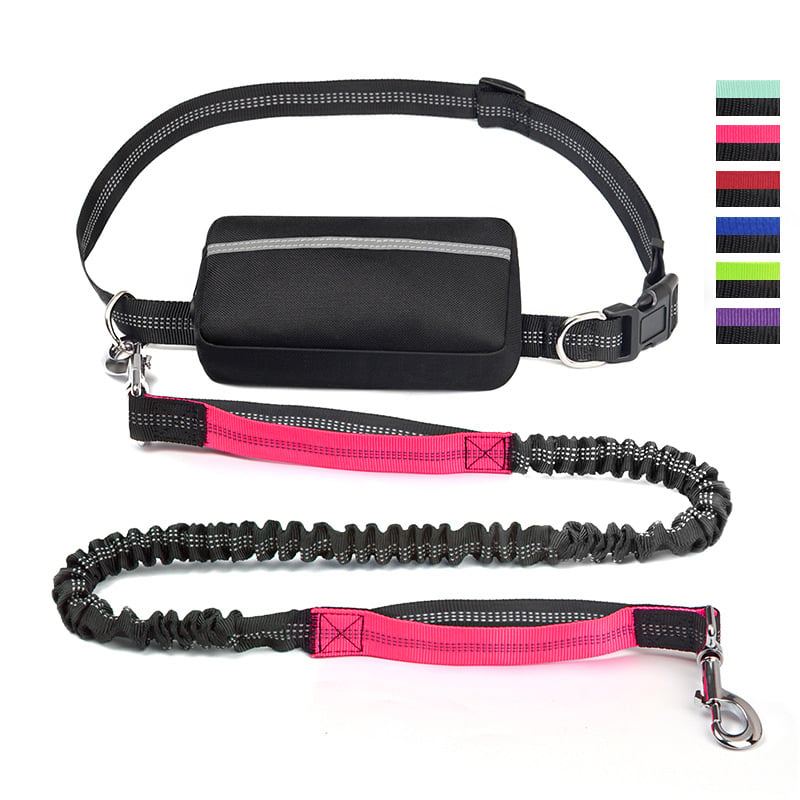 Hands-Free Dog Walking Leash