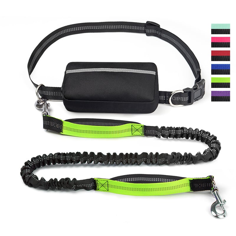 Hands-Free Dog Walking Leash
