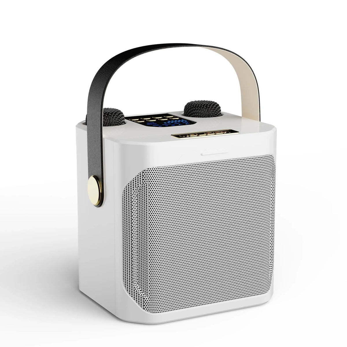 Karaoke Bluetooth Speaker – 360° Surround Wireless Subwoofer with Dual Microphones