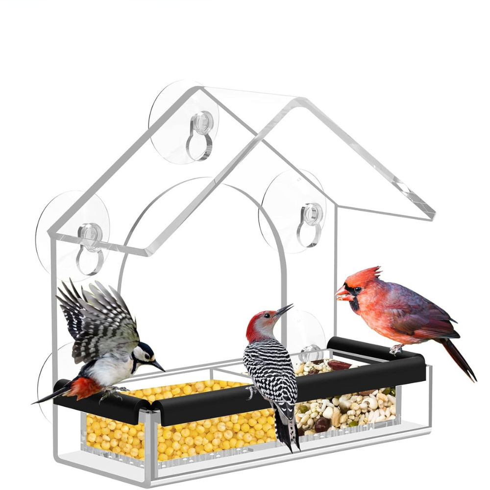 Modern Acrylic Window Bird Feeder with Suction Cups – Easy to Clean, for Bird Watching