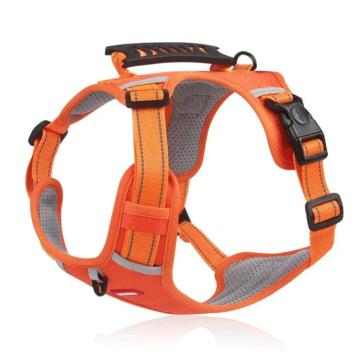No-Pull Dog Harness with Comfortable Fit and Enhanced Control