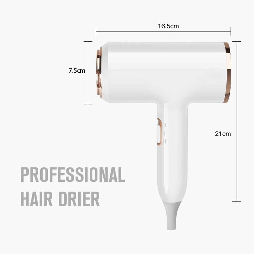 Professional 2400W Hair Dryer with Hot and Cold Air - Powerful Negative Ion Salon Hairdryer