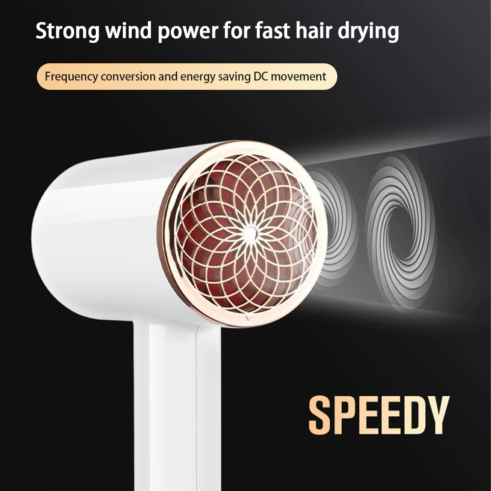Professional 2400W Hair Dryer with Hot and Cold Air - Powerful Negative Ion Salon Hairdryer