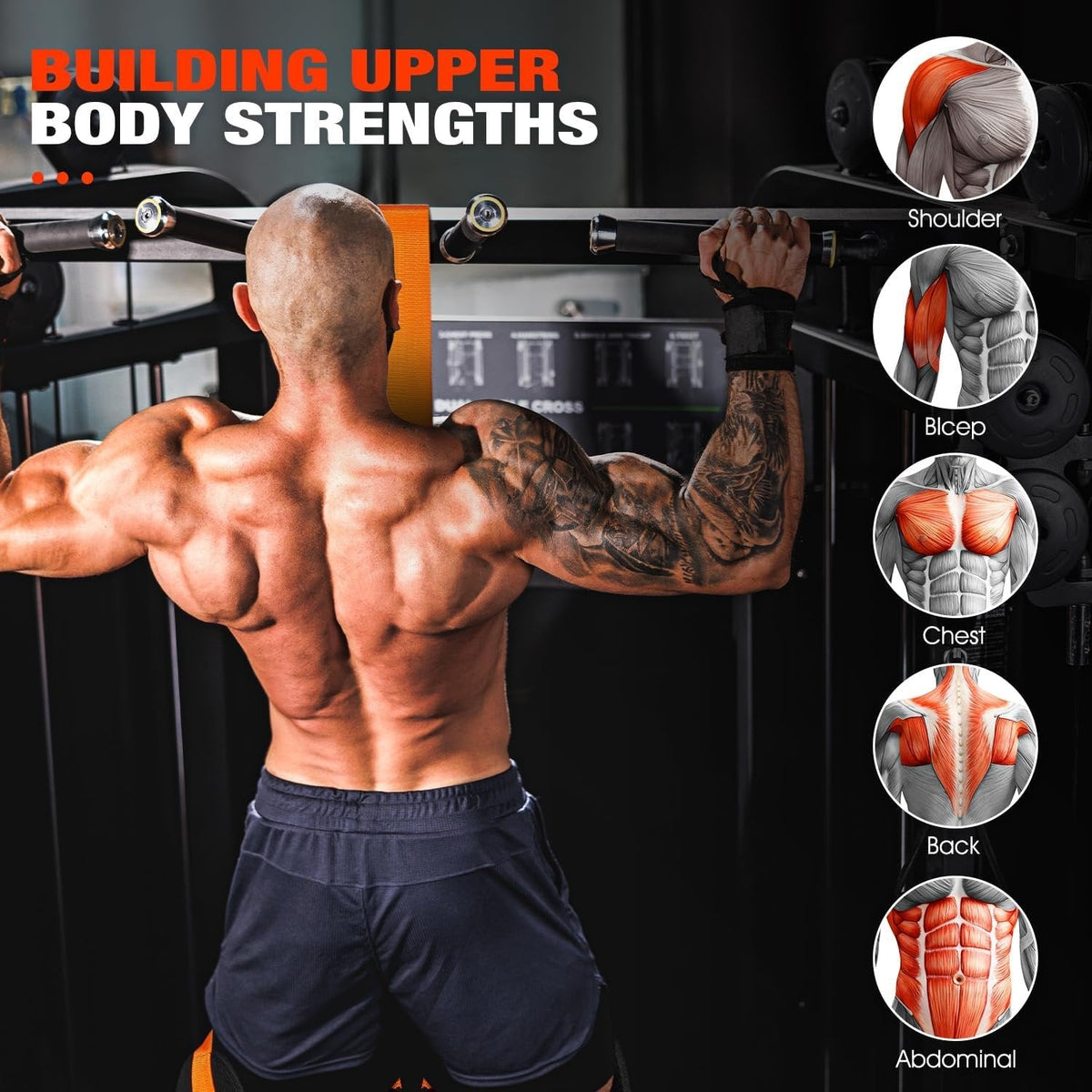 Pull-Up Assist Band with Dual Foot System