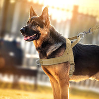 Reflective No-Pull Dog Harness