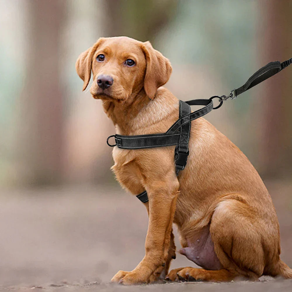 Reflective No-Pull Dog Harness