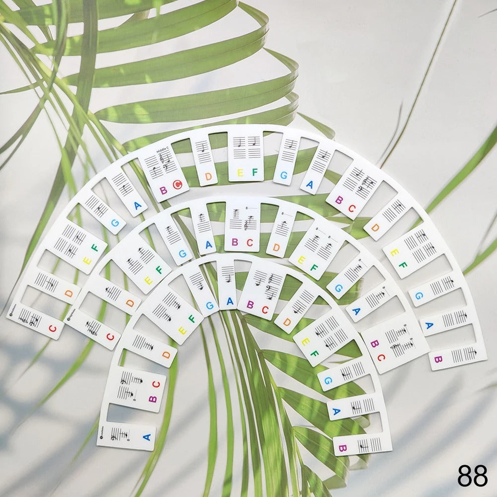 Removable Silicone Piano and Keyboard Labels