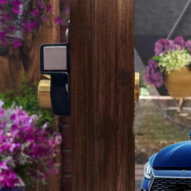 Rust-Resistant Gate Lock with Key - Spring Bolt