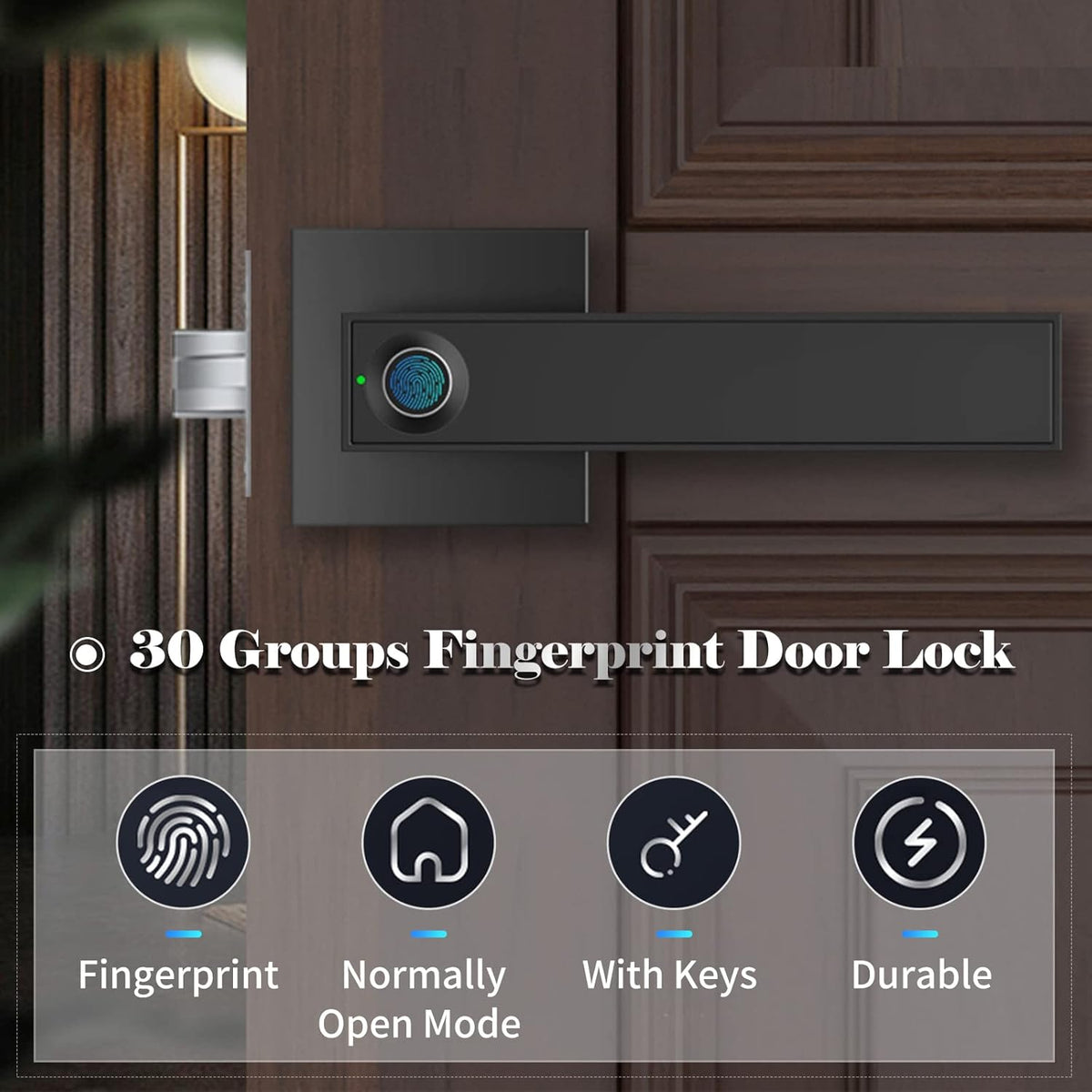 Smart Fingerprint Door Lever Lock with Key Access & 30-User Capacity