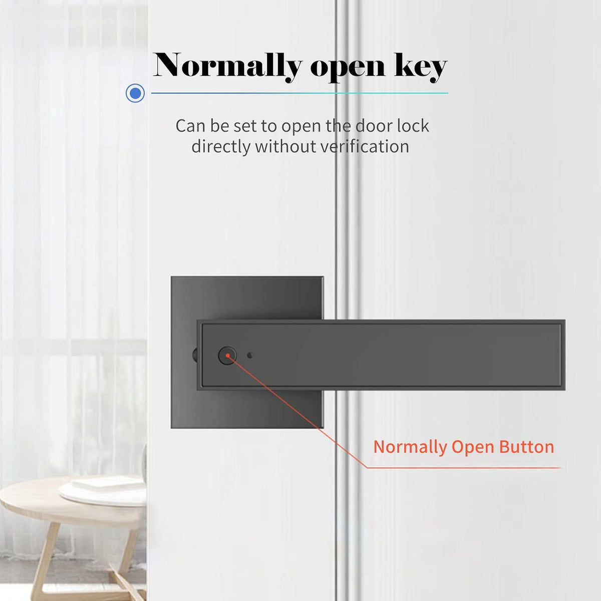 Smart Fingerprint Door Lever Lock with Key Access & 30-User Capacity