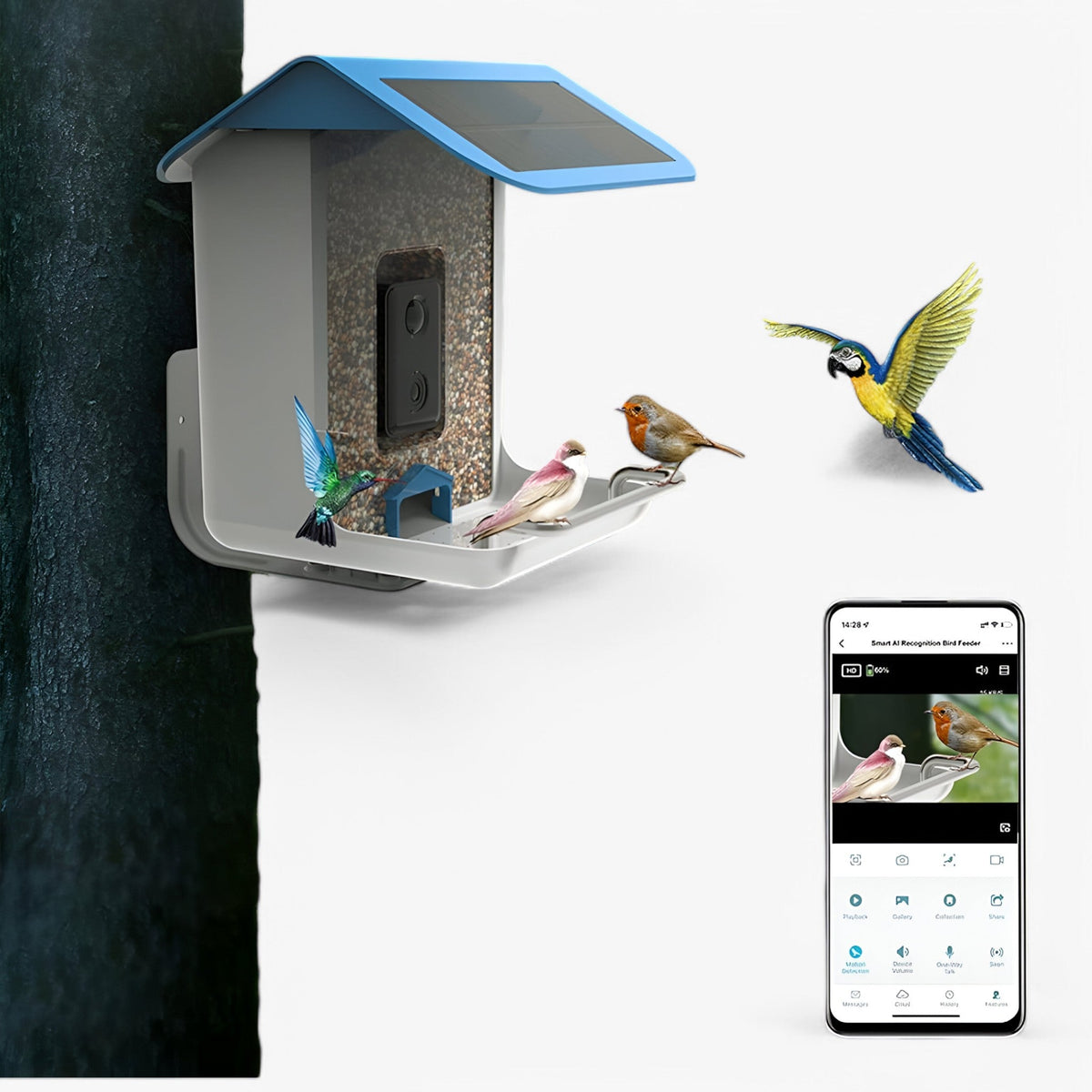 Solar-Powered Smart Bird Feeder with 1080P HD Camera, AI Bird Recognition and Wi-Fi