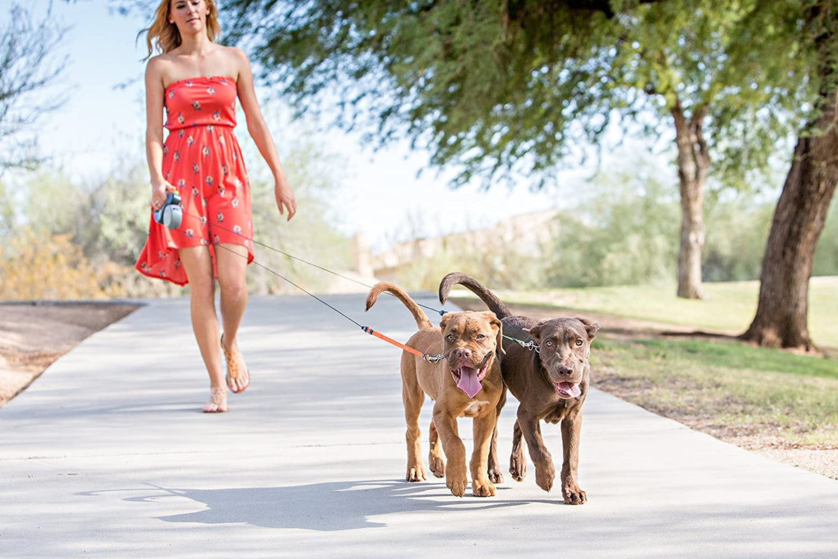 Tangle-Free Double Dog Leash