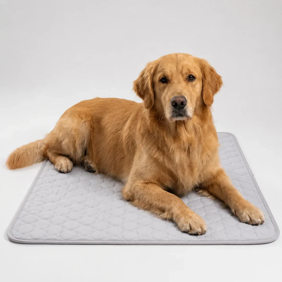Washable Pet Cooling Mat