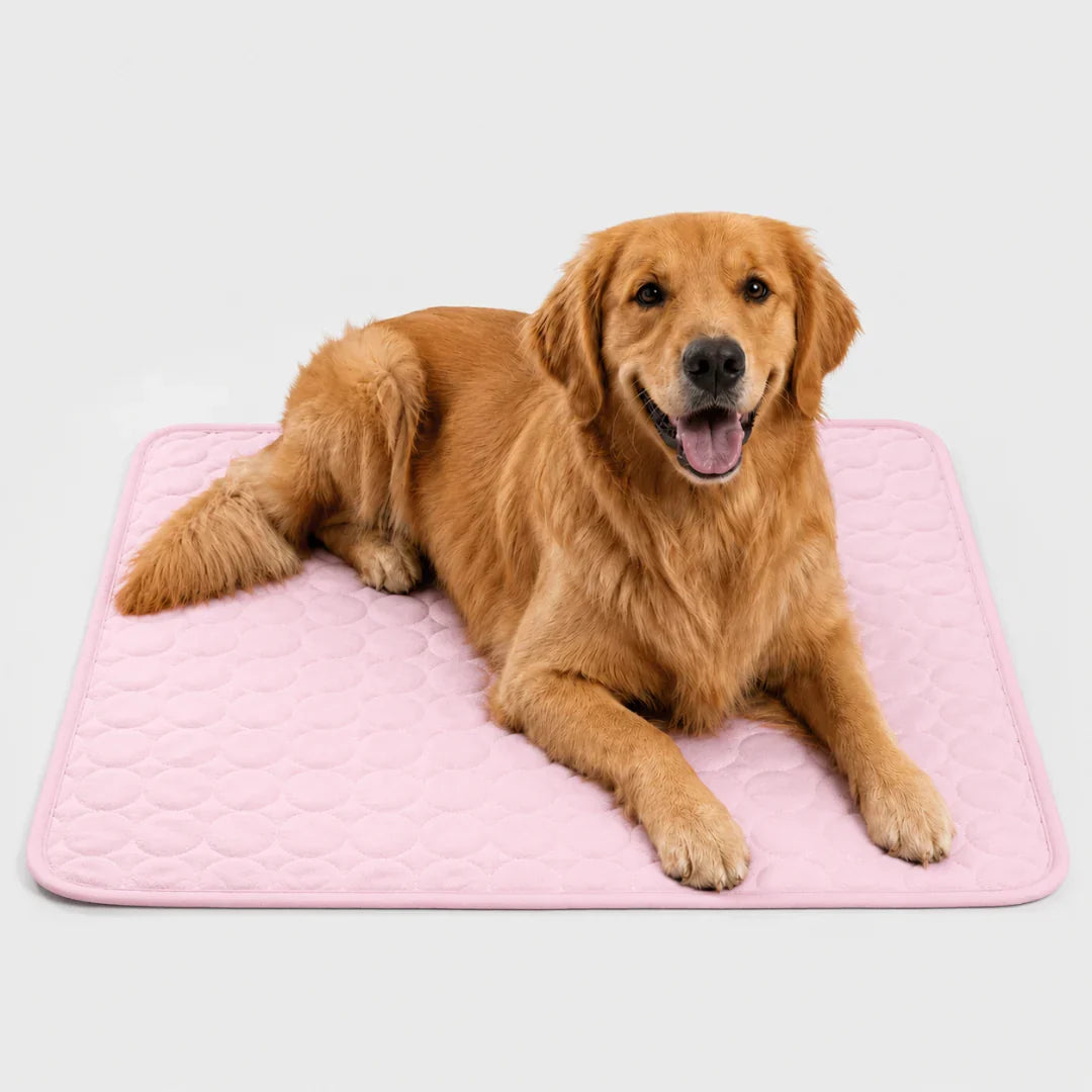 Washable Pet Cooling Mat