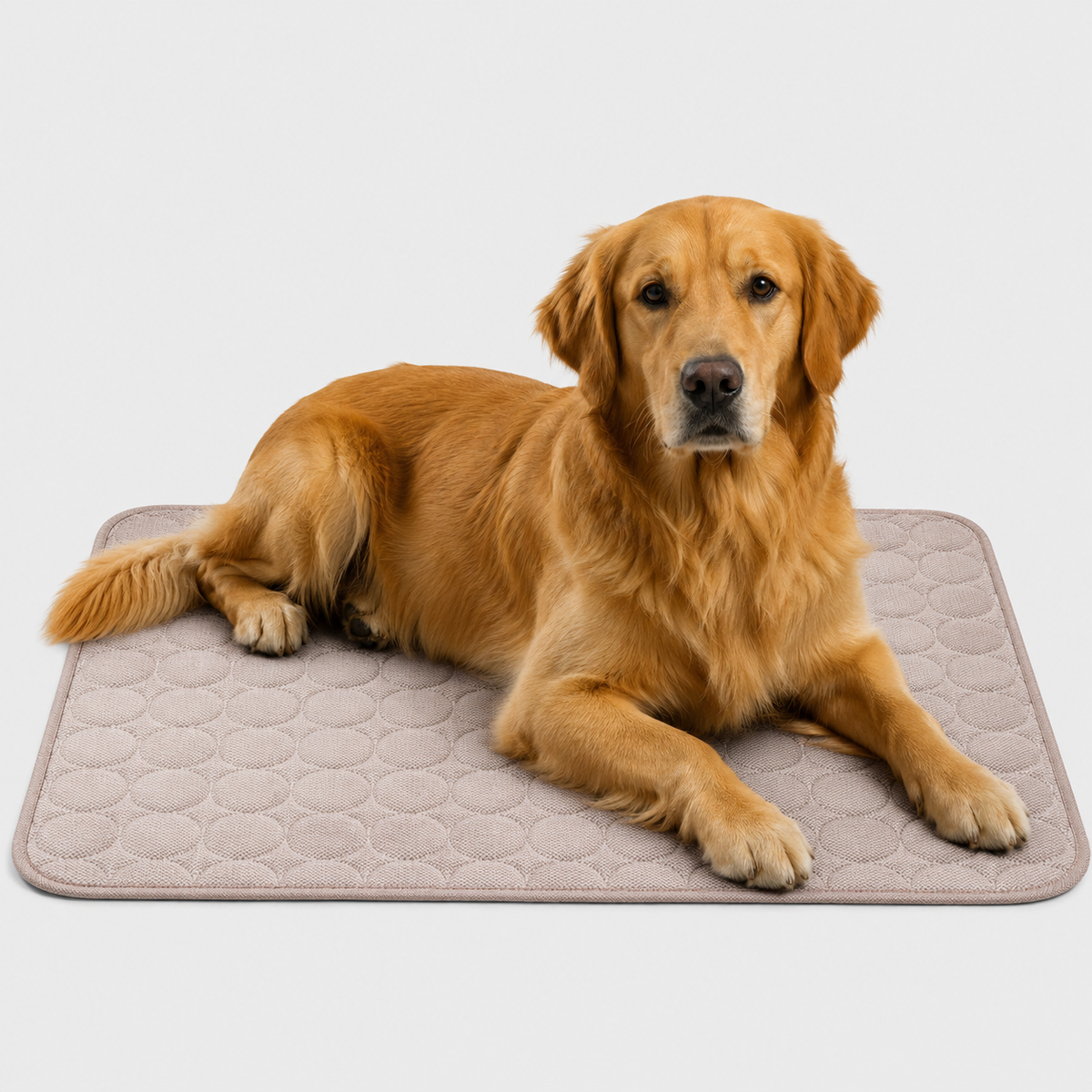 Washable Pet Cooling Mat